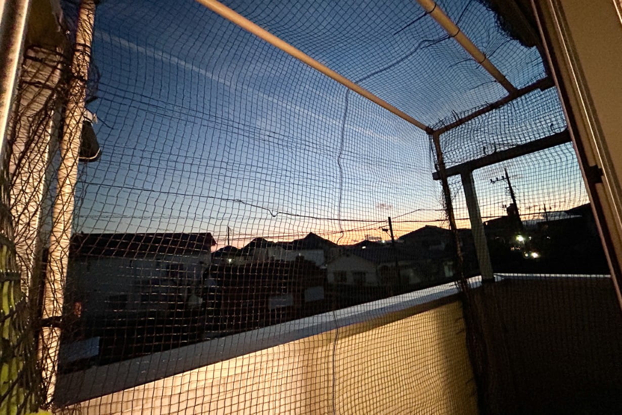 当時のメディア報道・掲載写真