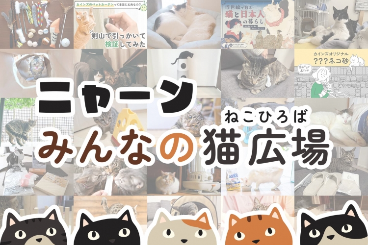 みんなの猫広場