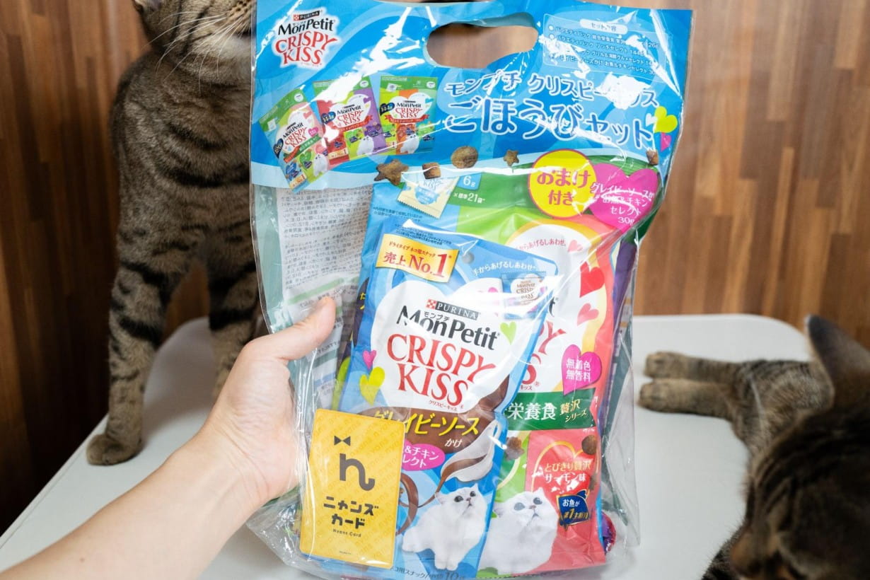 カインズ にゃん祭り2026」の戦利品公開！ 猫ちゃん喜ぶおすすめ