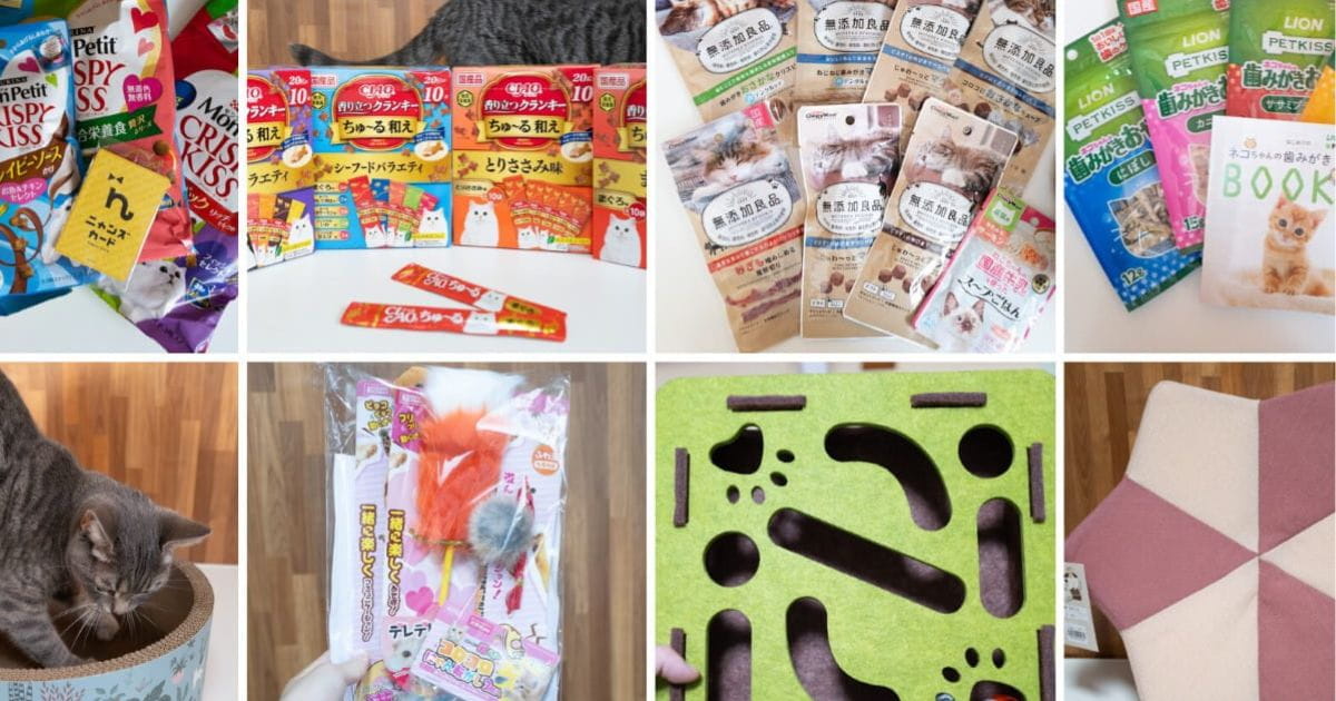 カインズ にゃん祭り2026」の戦利品公開！ 猫ちゃん喜ぶおすすめ