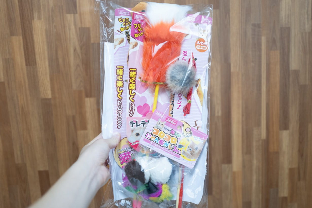 カインズ にゃん祭り2026」の戦利品公開！ 猫ちゃん喜ぶおすすめ