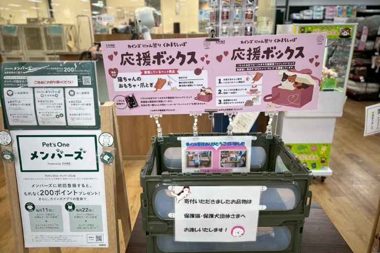 【にゃん祭り】猫と暮らしてなくても参加OK！バレンニャインでおもちゃを贈ろう