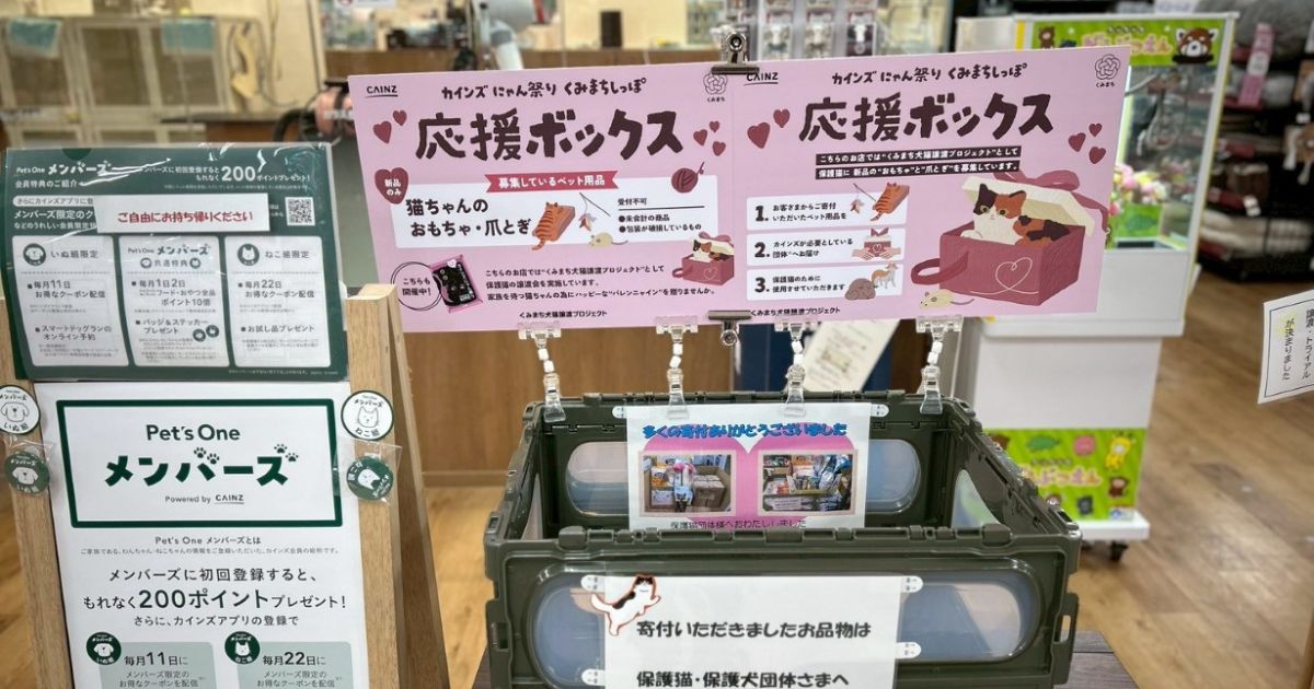 にゃん祭り】猫と暮らしてなくても参加OK！ バレンニャインでおもちゃ