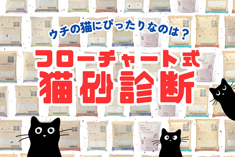 【猫砂のプロ監修】愛猫にピッタリな猫砂が必ず見つかる「猫砂選びフローチャート」