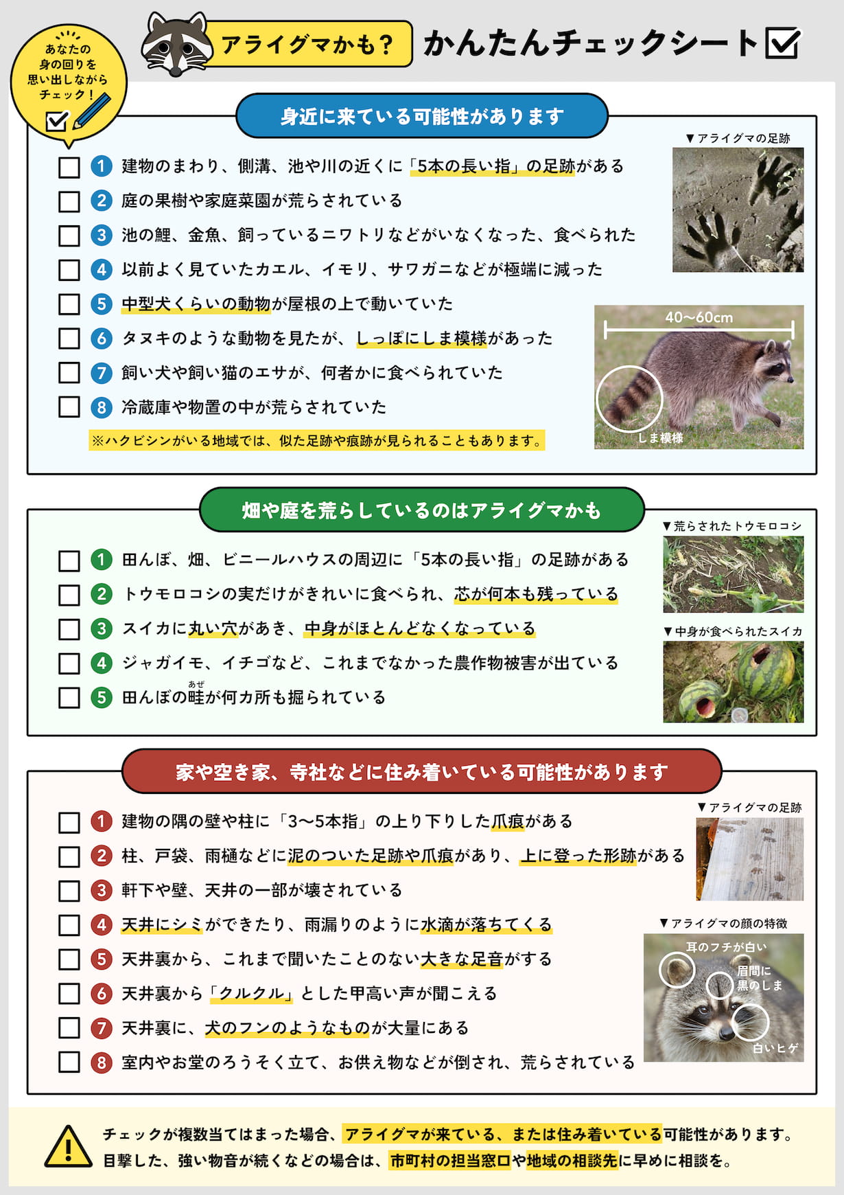 アライグマを見つけたら？ 急増の理由と正しい対策【専門家監修