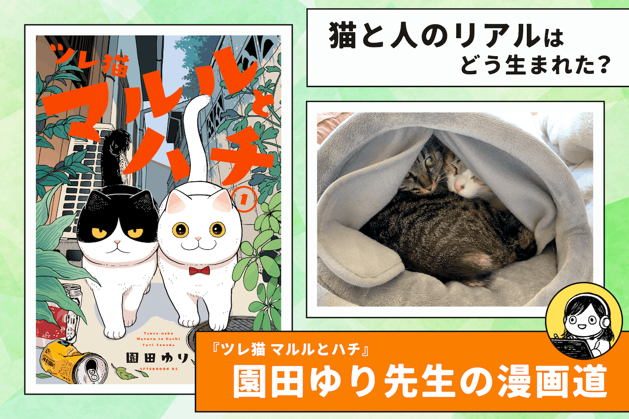 『ツレ猫 マルルとハチ』作者・園田ゆり先生が描く、猫と人のリアル