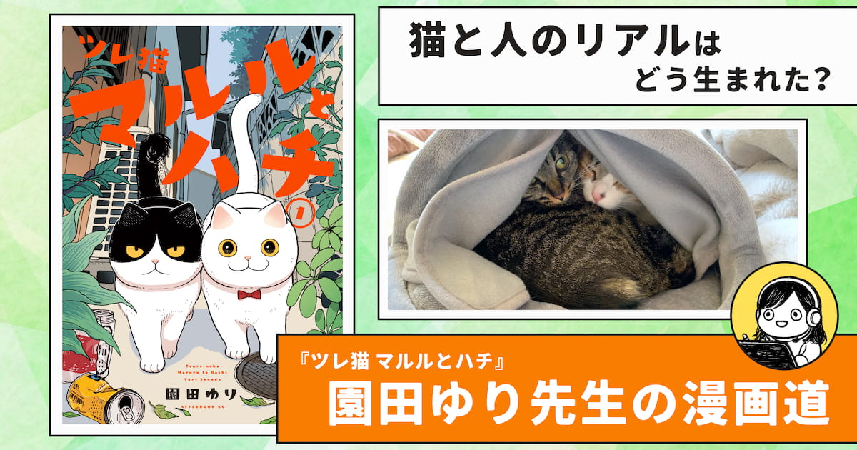 『ツレ猫 マルルとハチ』作者・園田ゆり先生が描く、猫と人のリアル