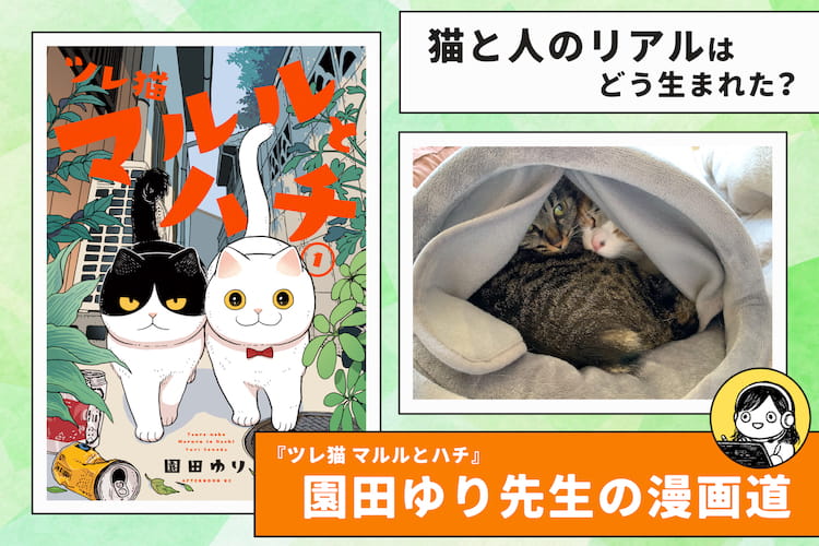 『ツレ猫 マルルとハチ』作者・園田ゆり先生が描く、猫と人のリアル