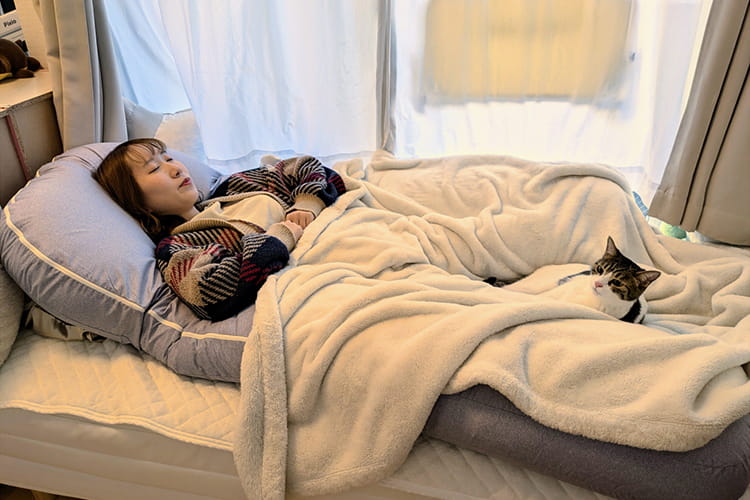 私だって猫になって挟まりたい！ “脚の間に挟まる体験”ができる抱きまくらをカインズで発見