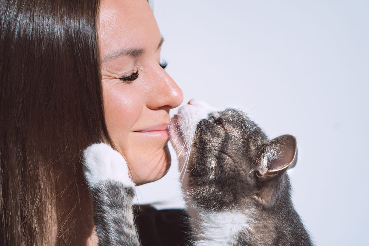 猫 人の手をなめる ストレス