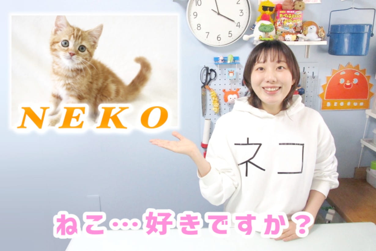猫ちゃんさん専用 3Sと2S 正品 20キロ 素材そのままねこちゃんの蒸しささみかに味 | おやつ（猫） 通販