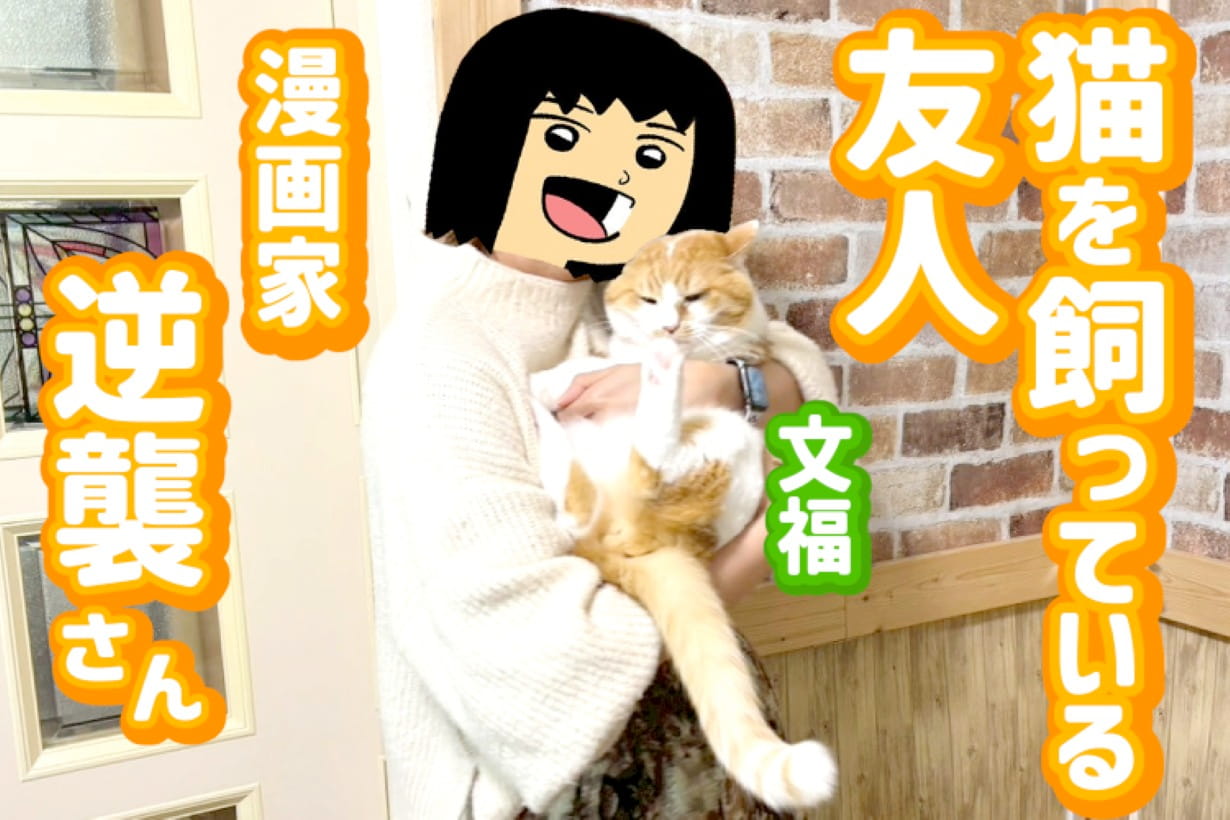 予算2,000円】猫ちゃんへの手土産に！ カインズの猫おもちゃで愛を深