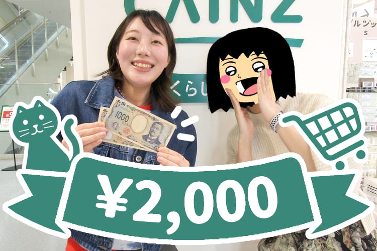 【予算2,000円】猫ちゃんへの手土産に！カインズの猫おもちゃで愛を深めちゃおう