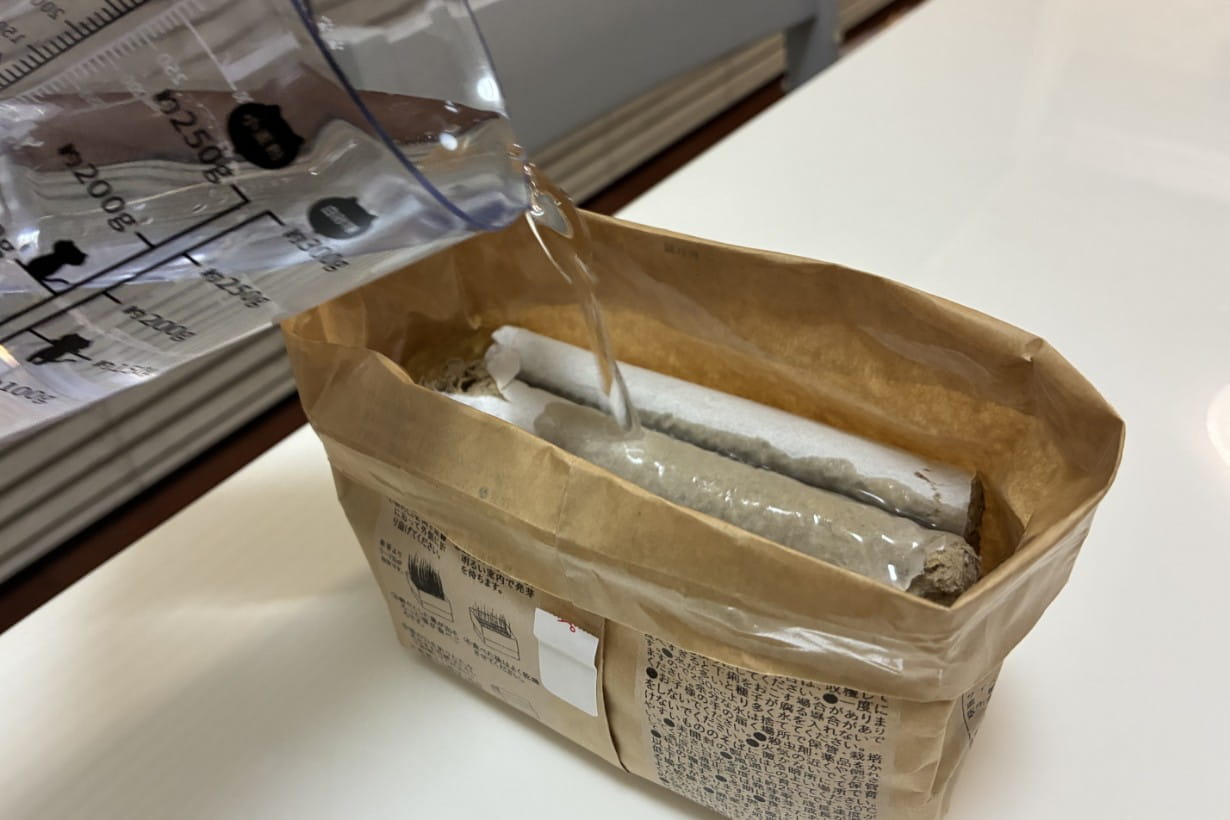 ここに水を250ml注いであとは明るい室内に置いておくだけでOK
