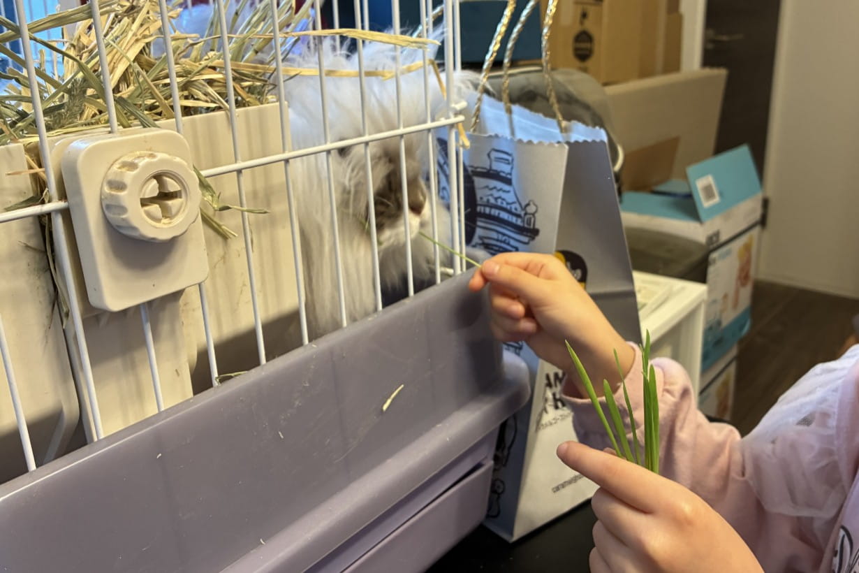 子どもたちもエサやりが出来て満足したようだ。
