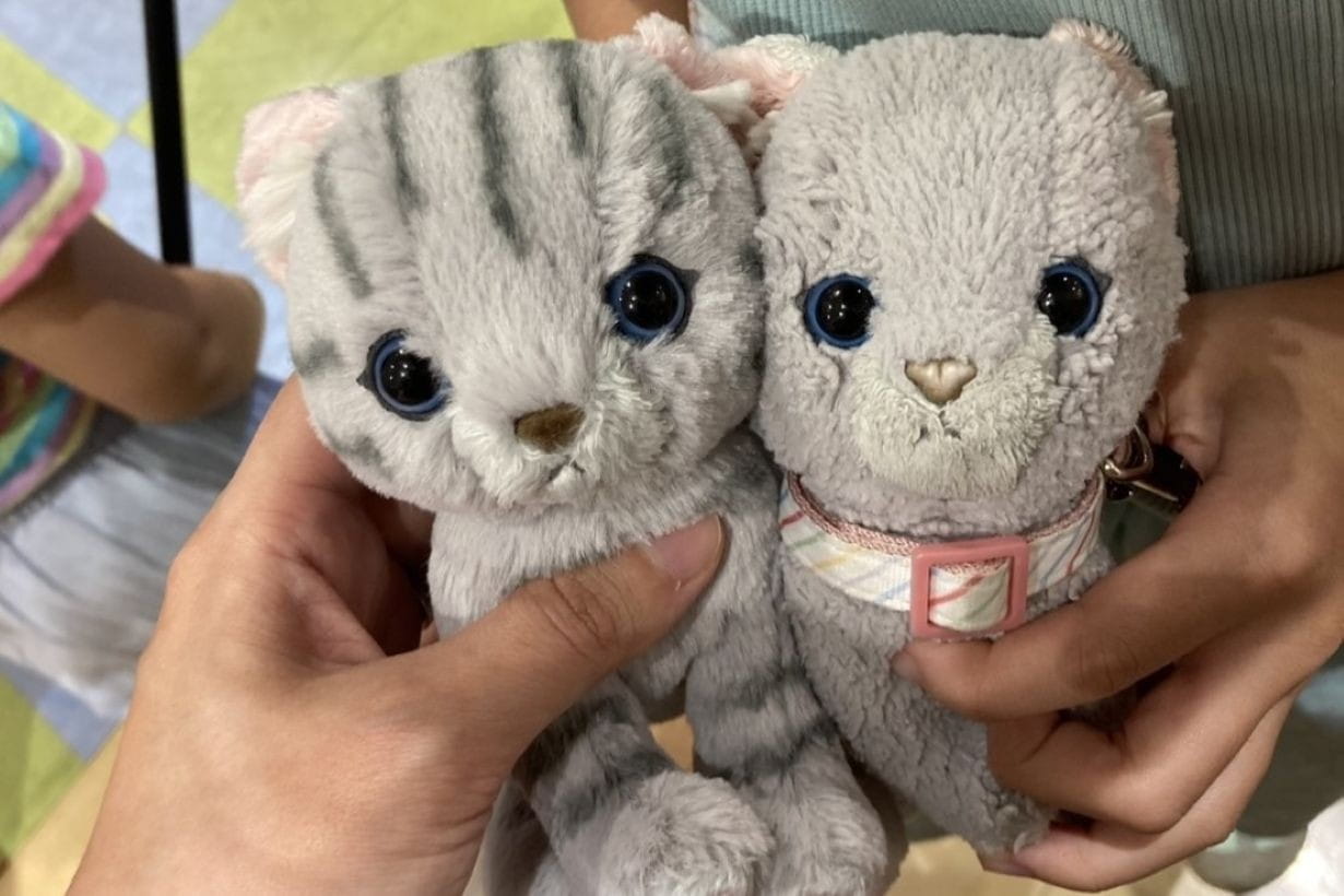 ペットを飼いたい娘がずーっと連れて歩いてるネコのぬいぐるみ（右）。左は新品の同じぬいぐるみだが、持ちすぎて二回りくらい小さくなってるし、シマが完全に消えている。お前トラ猫だったんか。