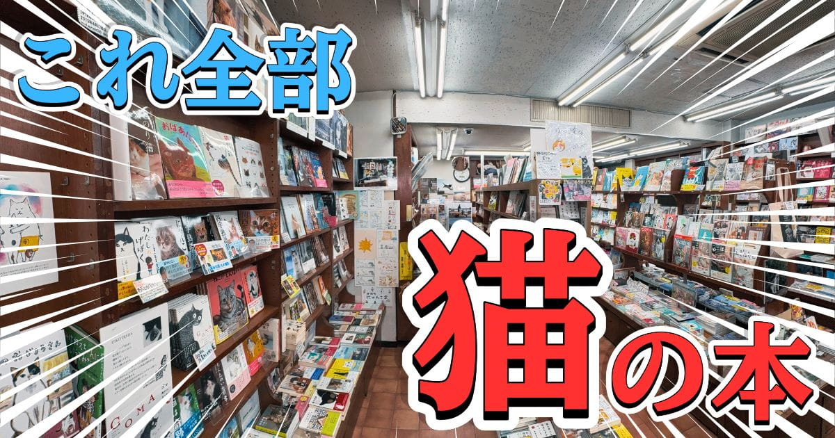 2000冊、全部猫の本！ 異色の書店「神保町にゃんこ堂」に潜入してみた