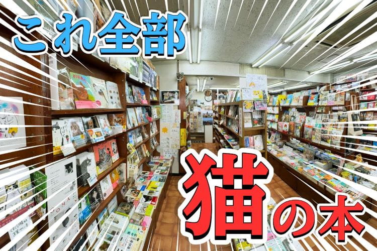 2000冊、全部猫の本！ 異色の書店「神保町にゃんこ堂」に潜入してみた