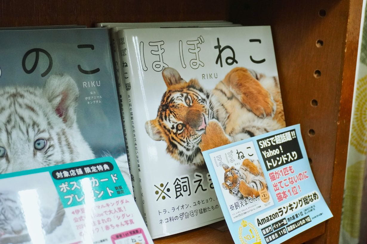 2000冊、全部猫の本！ 異色の書店「神保町にゃんこ堂」に潜入してみた