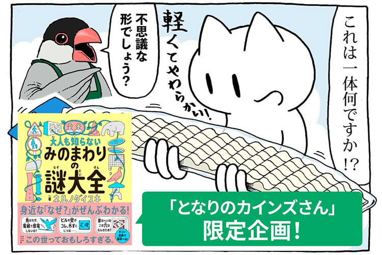 カインズは“謎”だらけ?『大人も知らない みのまわりの謎大全』著者と店内を歩いたら「何コレ」が止まらなかった! カインズは“謎”だらけ?『大人も知らない みのまわりの謎大全』著者と店内を歩いたら「何コレ」が止まらなかった!