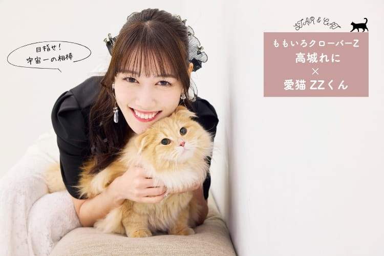 喜矢武豊 | となりのカインズさん