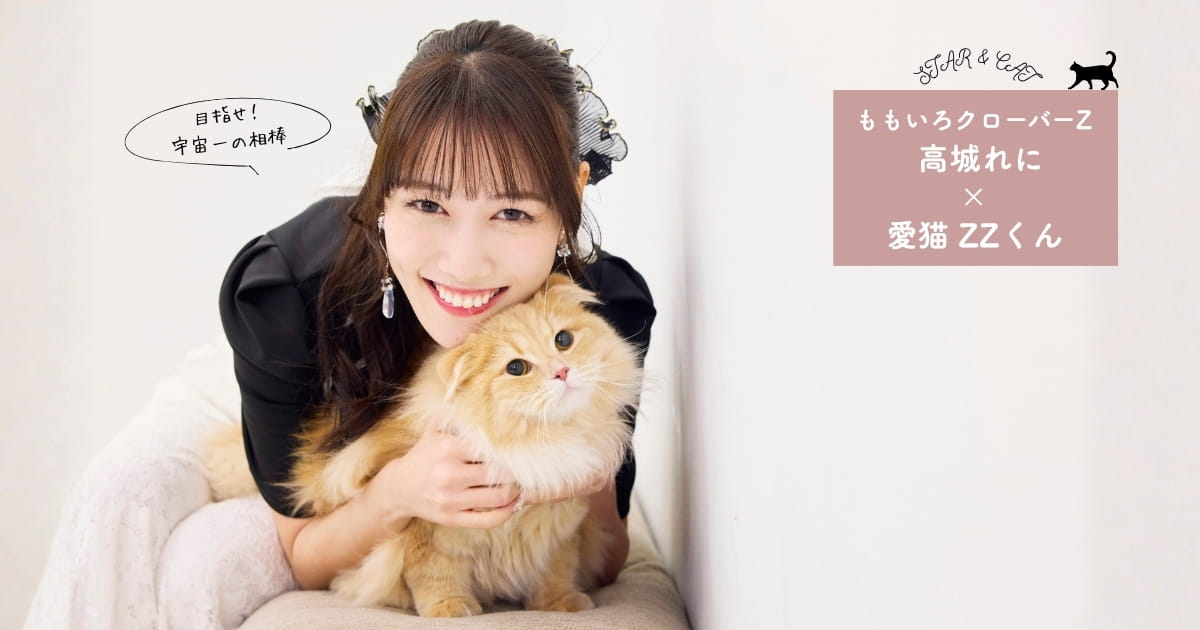 別れの先にやってきた新たな家族。ももクロ・高城れにさんと愛猫ZZくん
