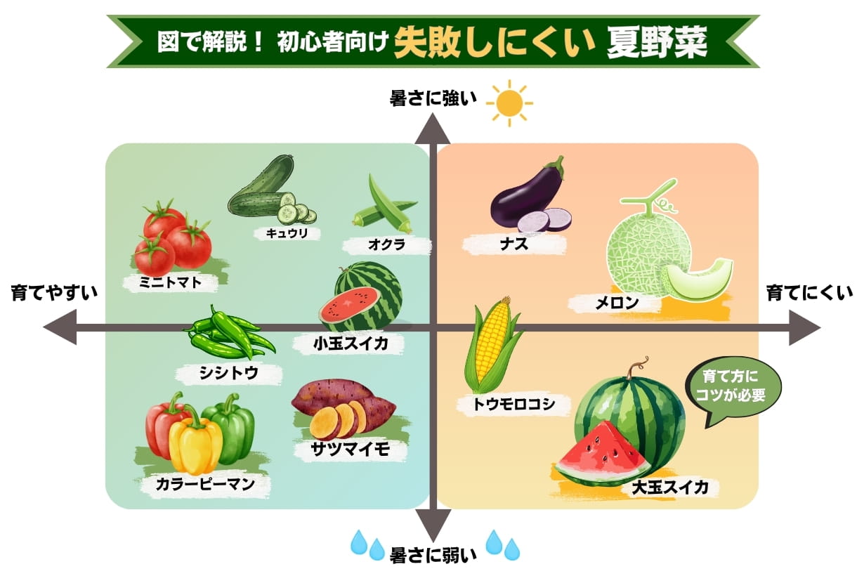 育て やすい 夏 野菜