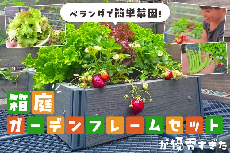 家庭菜園ガチ勢も沼る「箱庭ガーデンフレームセット」が最高だった