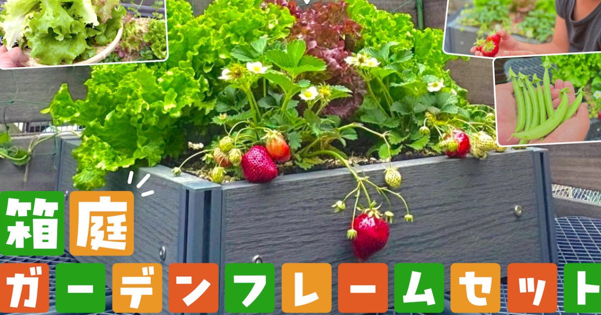 家庭菜園ガチ勢も沼る「箱庭ガーデンフレームセット」が最高だった