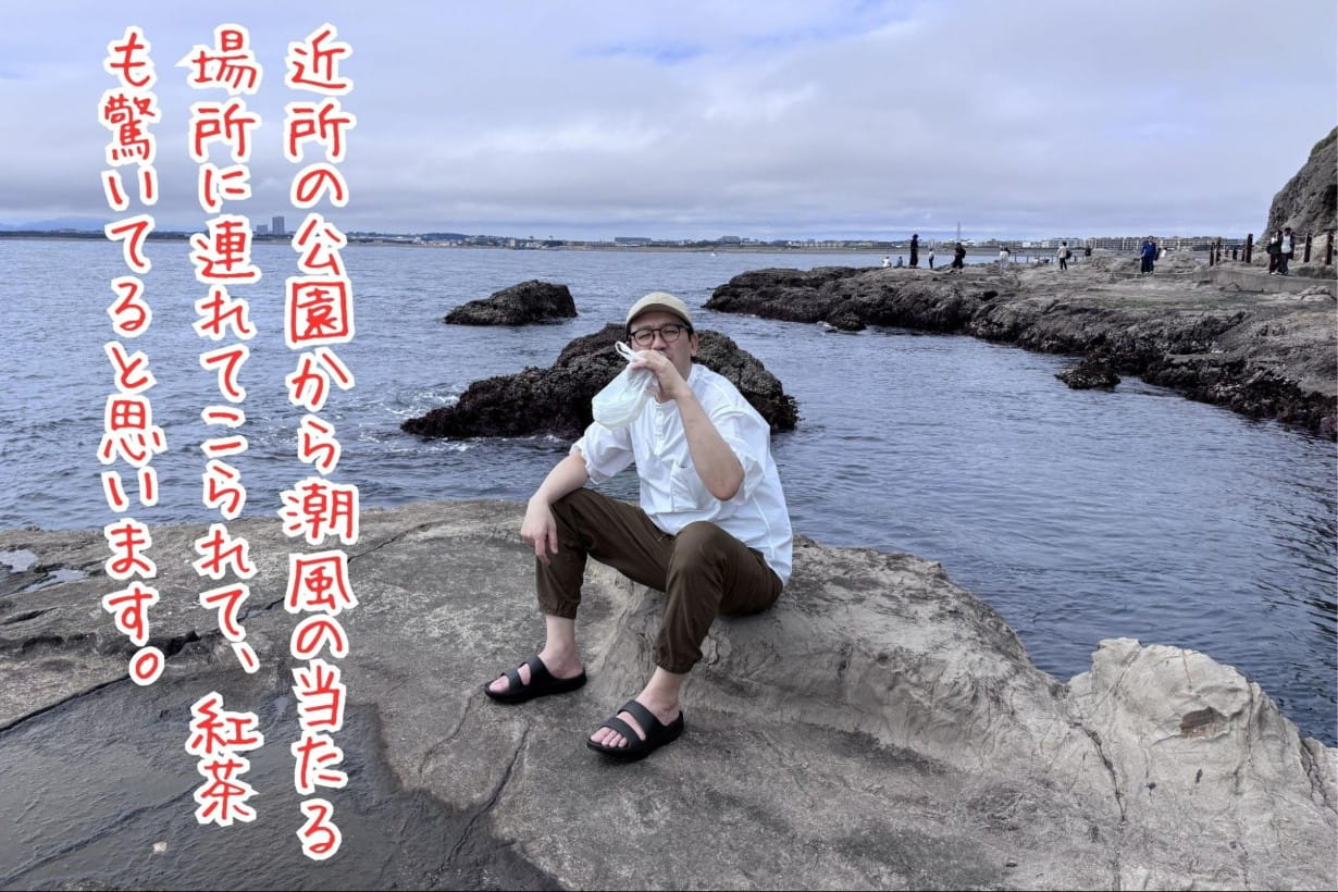 近所の公園から潮風の当たる場所