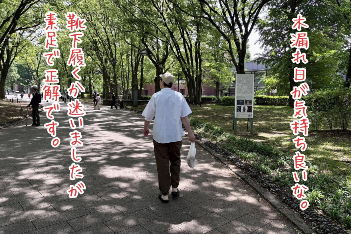 木漏れ日のなか、散歩する