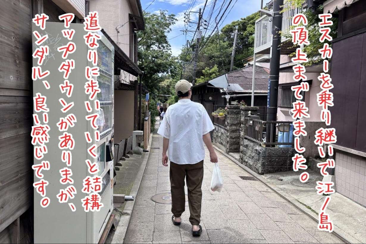 江ノ島の頂上まで来ました