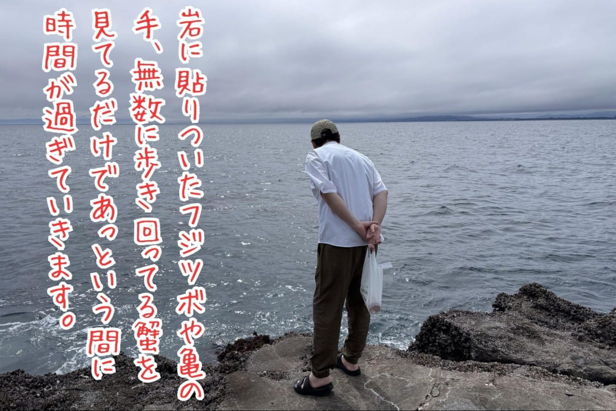 岩に貼りついたフジツボや亀の手