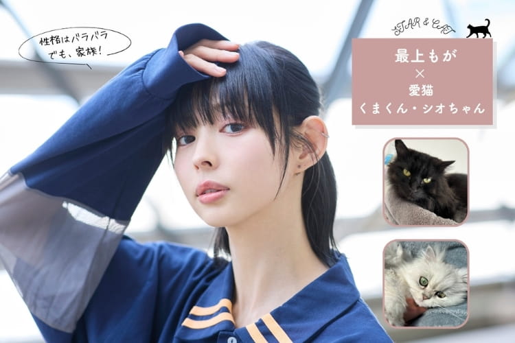 元でんぱ組.inc・最上もがさん「性格はバラバラ、だけど繋がってる」。娘と愛猫2匹の凸凹家族ライフ