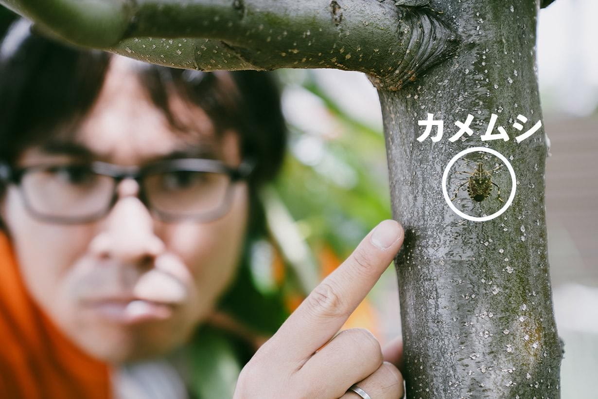 見つけたら超ラッキー！ 大量発生するカメムシの中にもいる「激レア