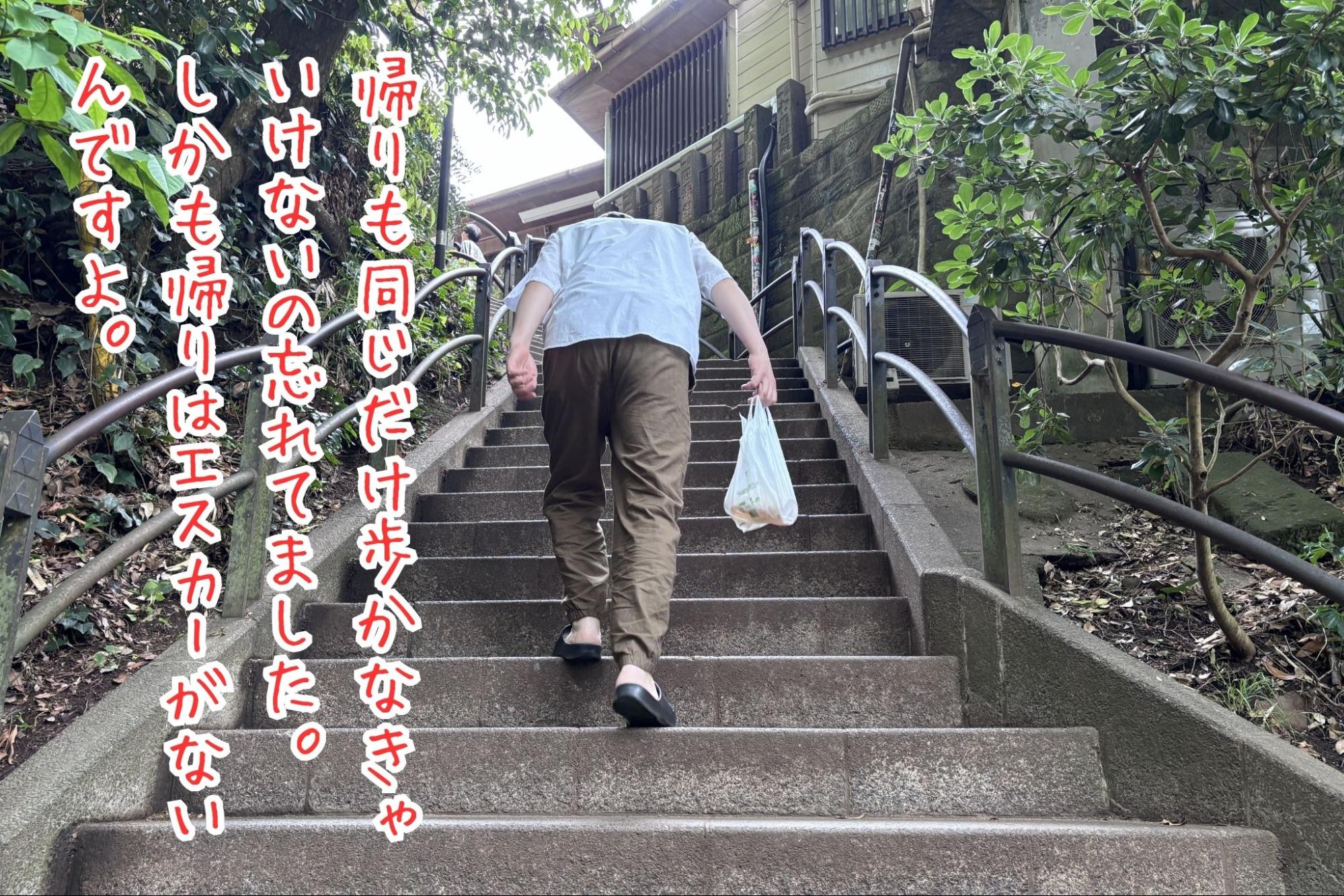 帰りも同じだけ歩く