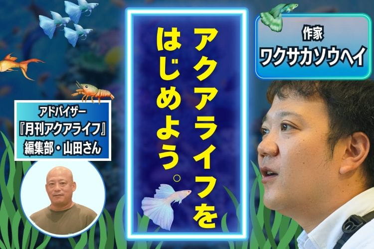 「もう一度、魚とくらしたい」プロに教わる“続けやすい”アクアリウム