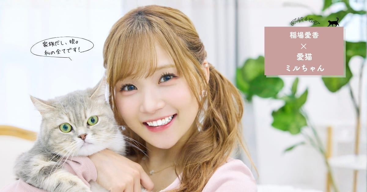 元Juice＝Juice・稲場愛香さん「本当に迎えて大丈夫？」一人暮らしで愛猫ミルを迎えるまでに考えたこと