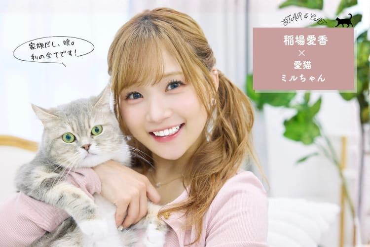 元Juice=Juice・稲場愛香さん「本当に迎えて大丈夫?」一人暮らしで愛猫ミルを迎えるまでに考えたこと