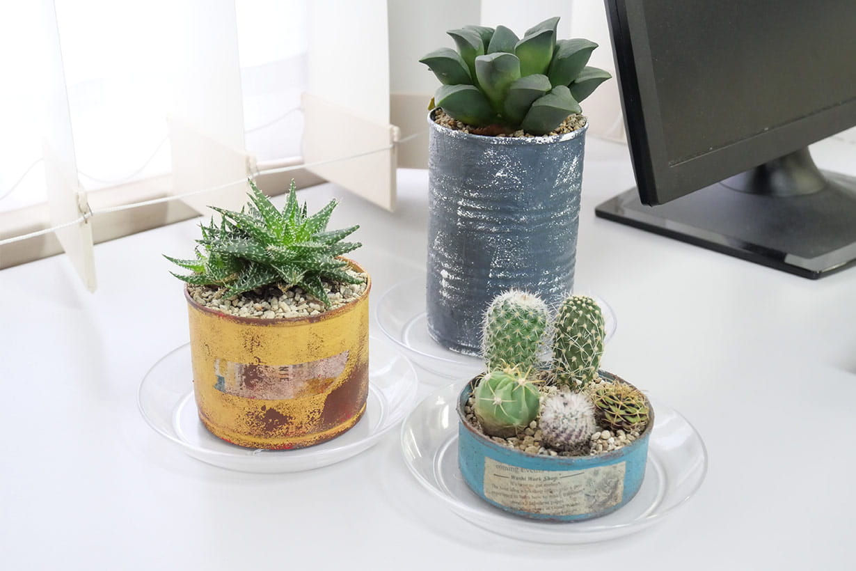 リメイク缶でつくる鉢植え。手作りの緑でデスクを彩ろう！ | となりの