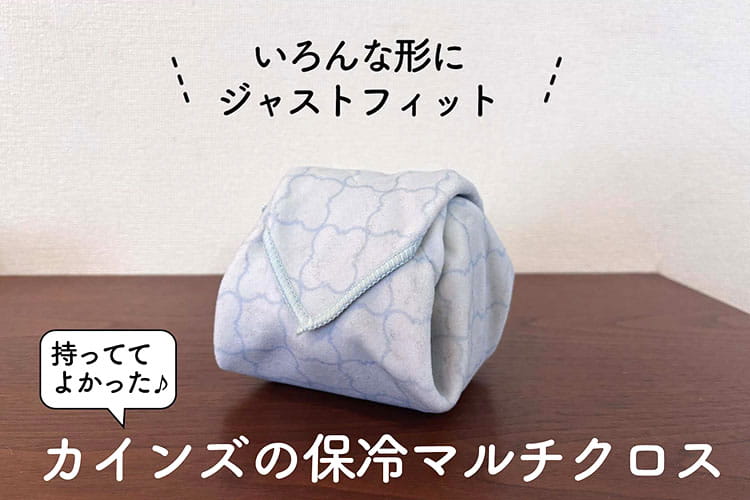猛暑のお弁当問題がワンコインで解決！ カインズ「保冷マルチクロス」を1カ月使ってみた