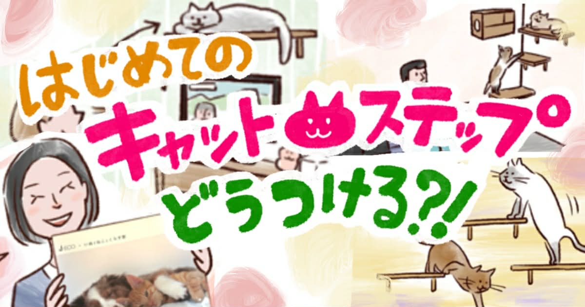 【賃貸OK】はじめてのキャットステップ、猫に詳しい不動産屋さんに聞いてみた！