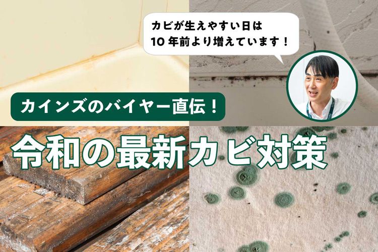 日本は10年前よりカビが生えやすくなってるらしいので、カビのプロに最新の対策を聞いてみた