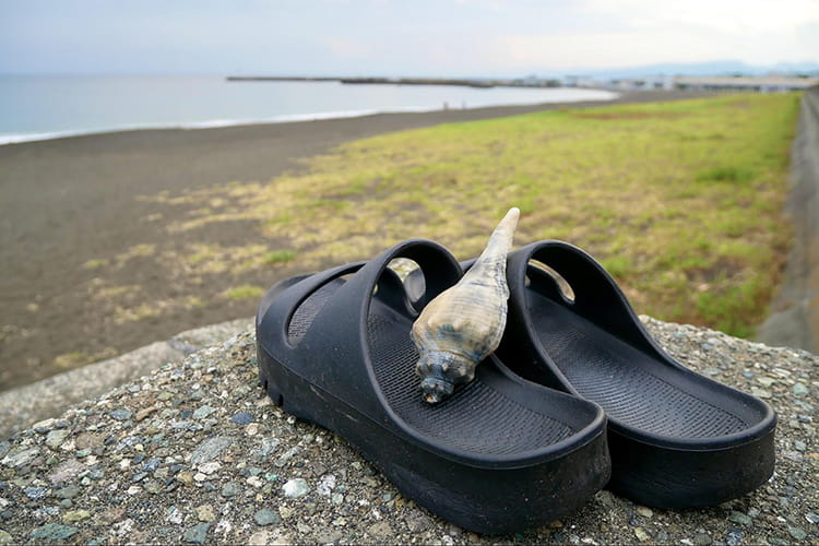 サンダルで長距離散歩はいける？ カインズの『リカバリーサポートサンダル』で湘南を30km歩いてみた